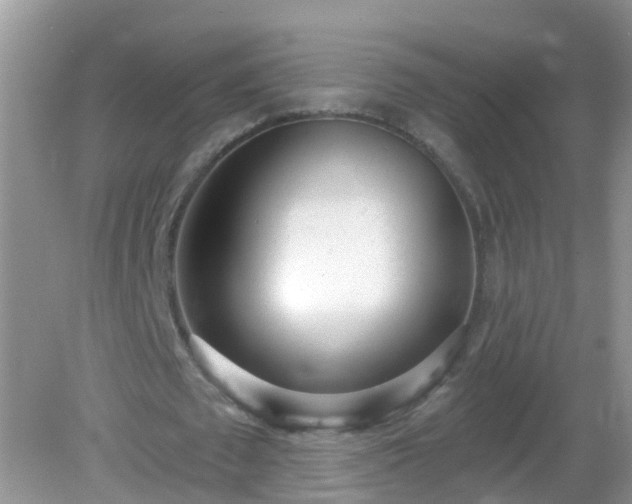 X0000082730673200702021532