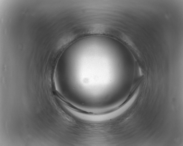 X0000082730681200702021532