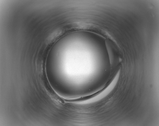X0000082730685200702021532