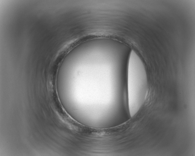 X0000082730688200702021532