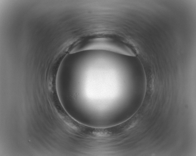 X0000082730693200702021532