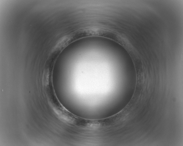 X0000082730694200702021532