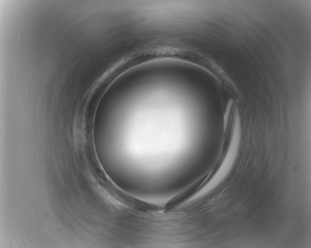 X0000082730722200702021531