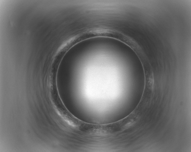 X0000082730732200702021531