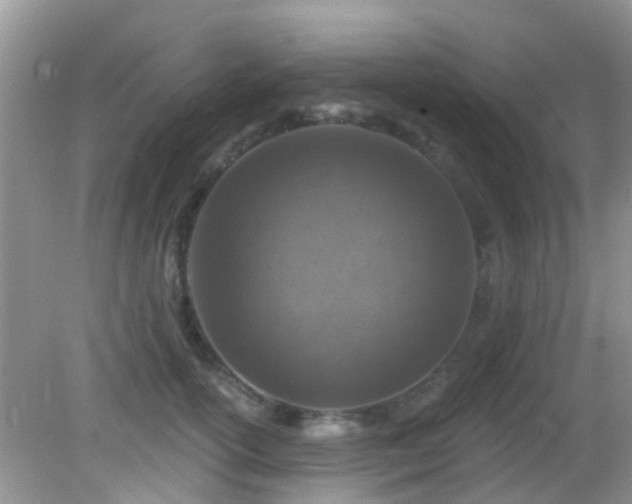 X0000082730754200702021531