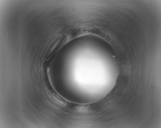 X0000082730756200702021531