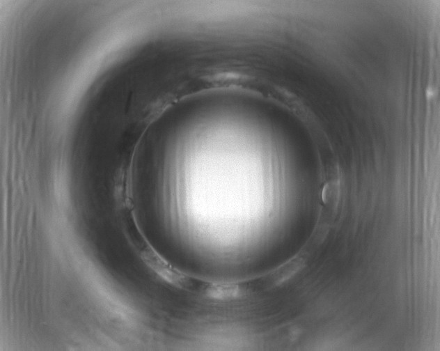 X0000082730767200702021532