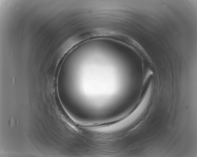 X0000082730786200702021530
