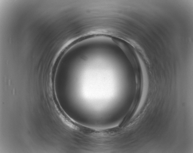 X0000082730792200702021530