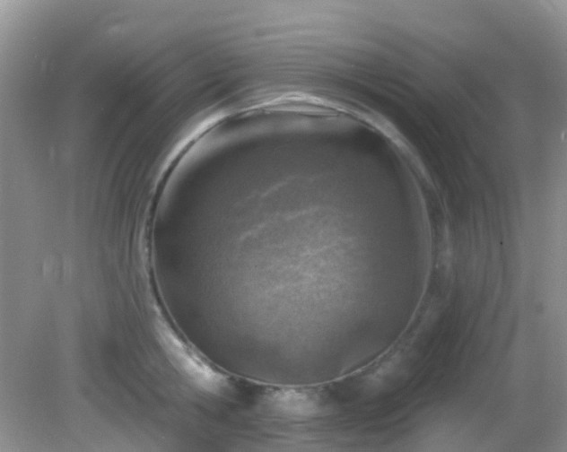 X0000082730806200702021530