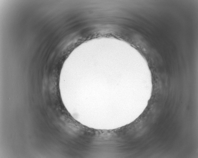 X0000082730824200702021529