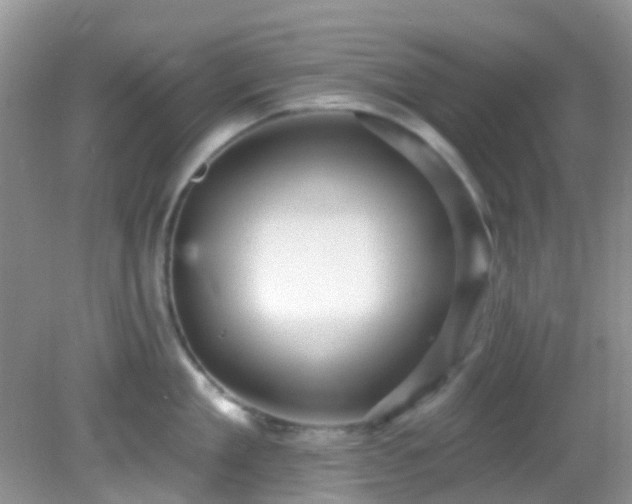 X0000082730909200702021528