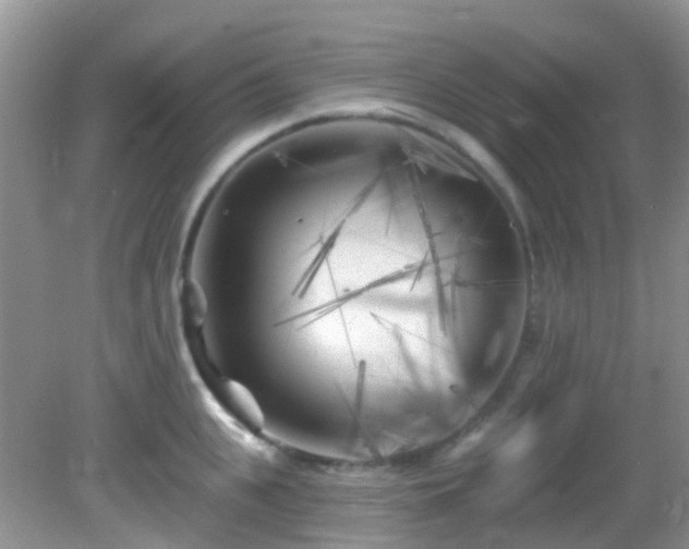 X0000082730951200702021528