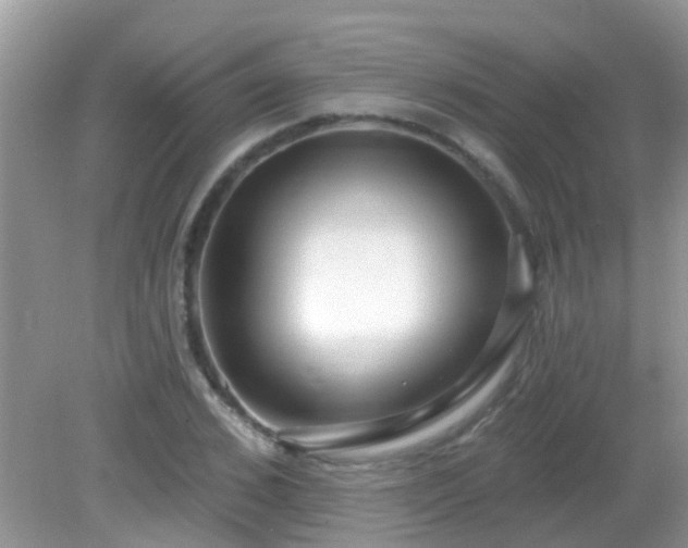 X0000082730976200702021527