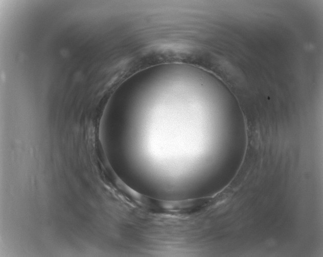 X0000082731061200702021526