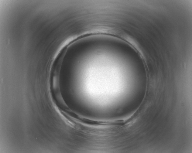 X0000082731093200702021525