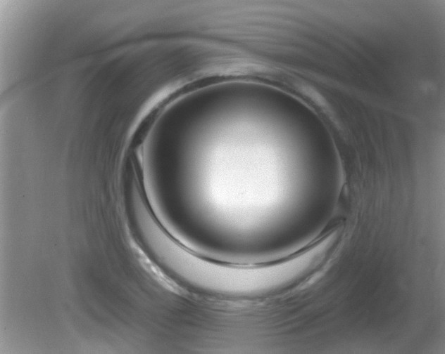 X0000082731122200702021525