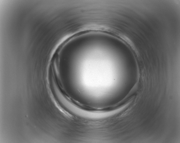 X0000082731128200702021525