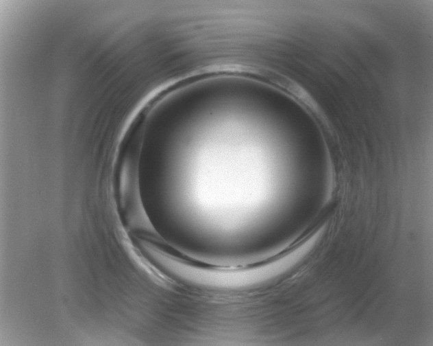 X0000082731132200702021525