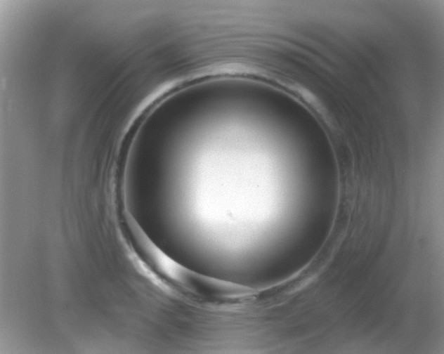 X0000082731134200702021525