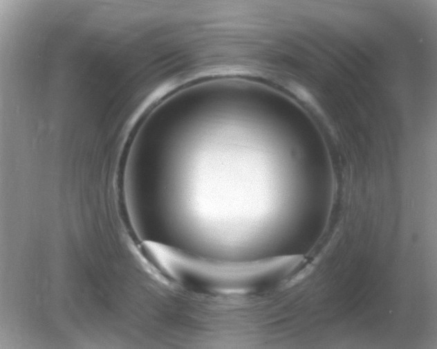 X0000082731181200702021524