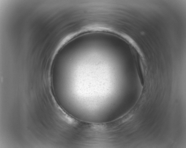 X0000082731191200702021524