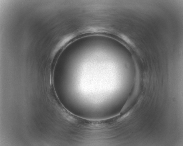 X0000082731269200702021522
