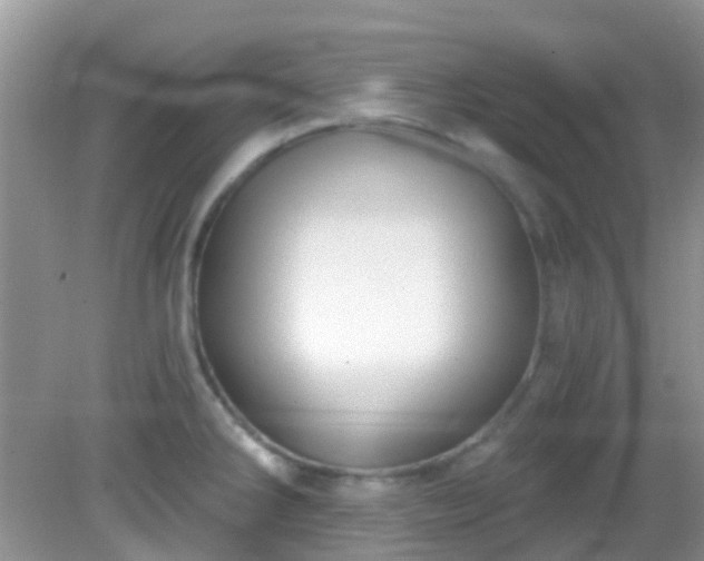 X0000082731286200702021522