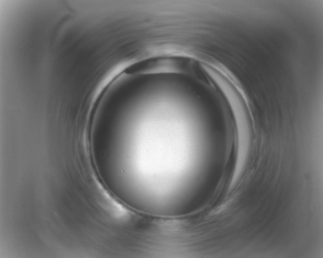 X0000082731293200702021522
