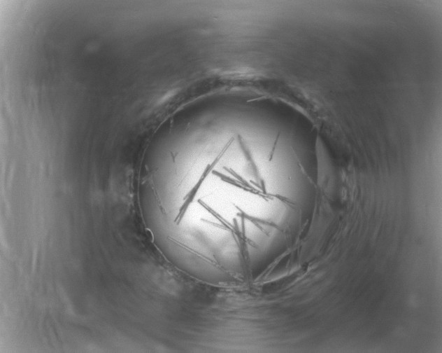X0000082731301200702021521