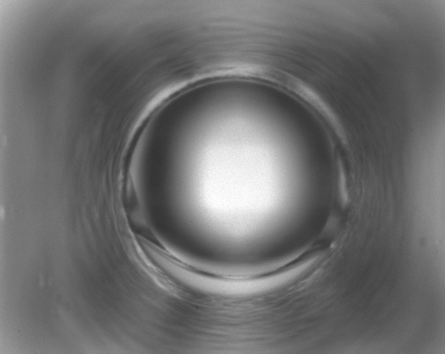 X0000082731332200702021522