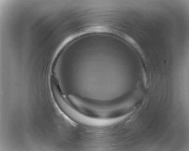 X0000082731334200702021522