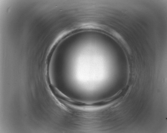 X0000082731376200702021521