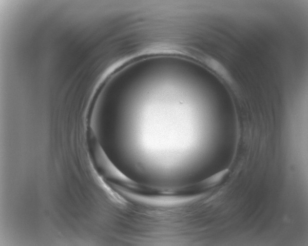X0000082731380200702021520