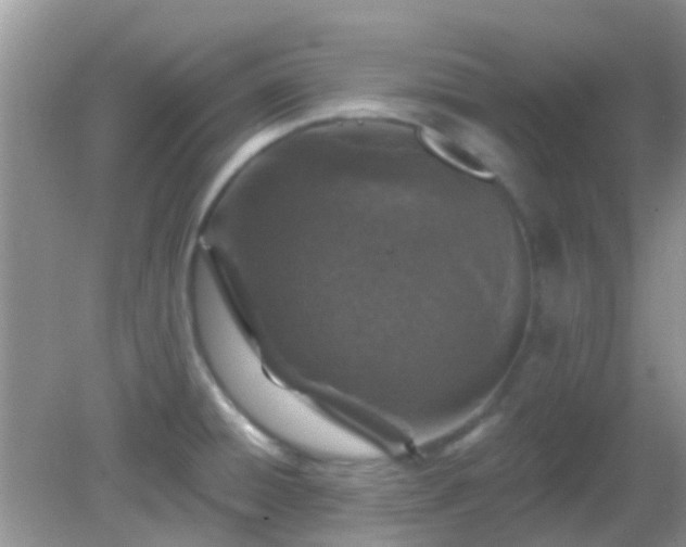 X0000082731428200702021520