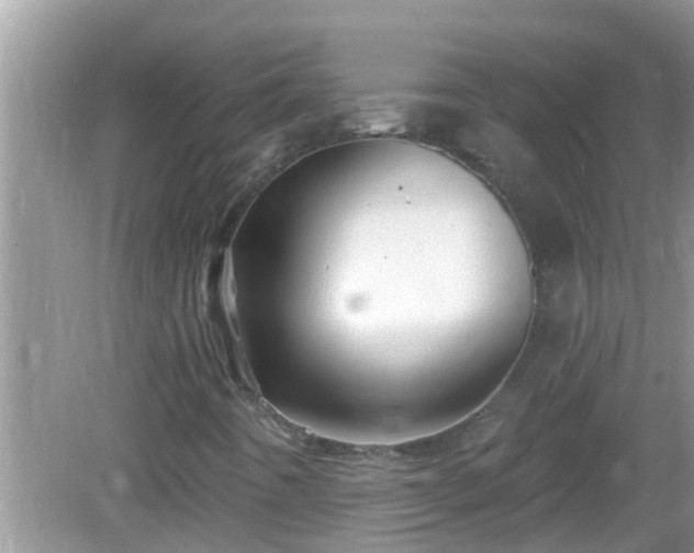 X0000082731442200702021519