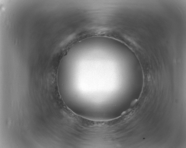 X0000082731447200702021519