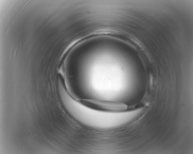 X0000082731465200702021519