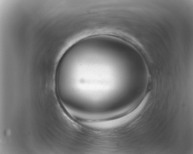 X0000082731512200702021518