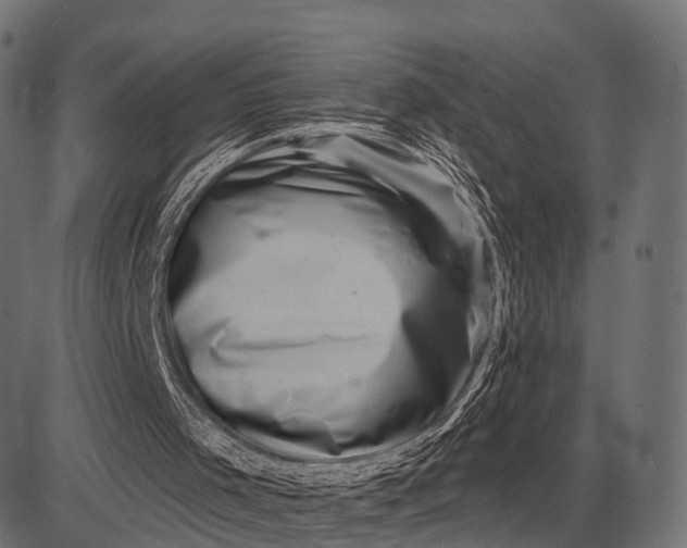 X0000082730001200702091849