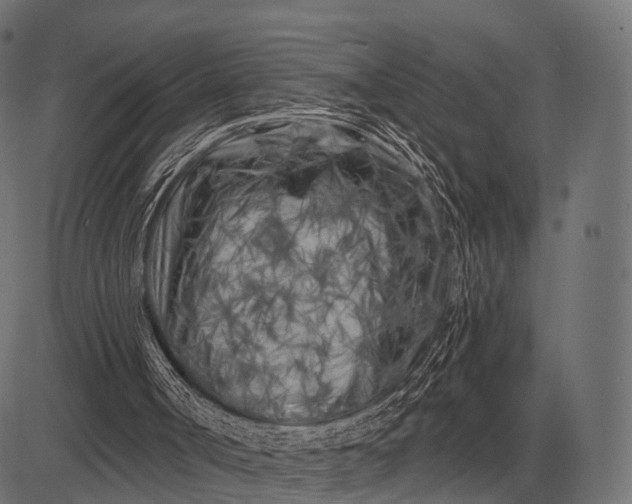 X0000082730002200702091849