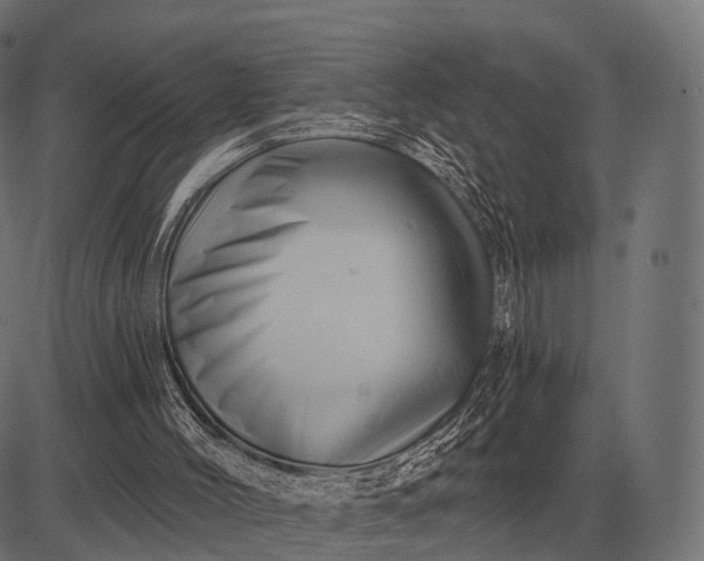 X0000082730004200702091849