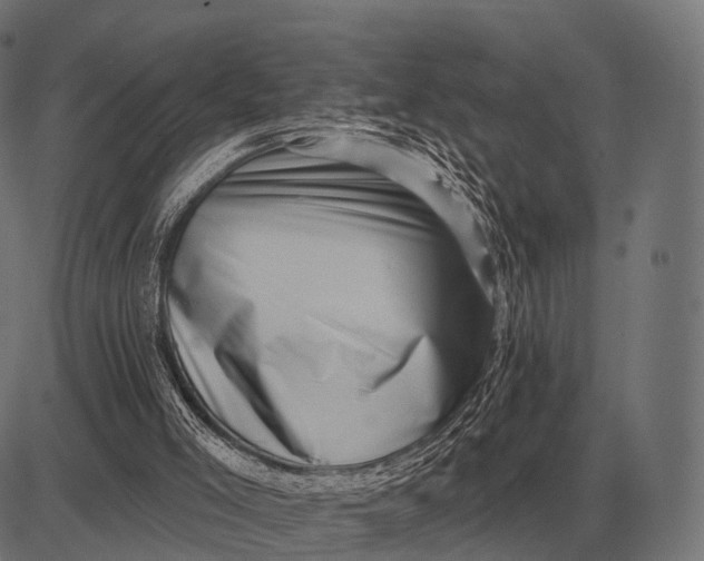 X0000082730005200702091849