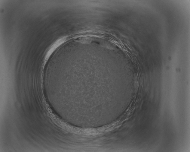 X0000082730006200702091849