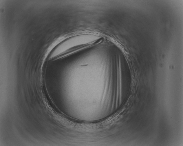 X0000082730008200702091849