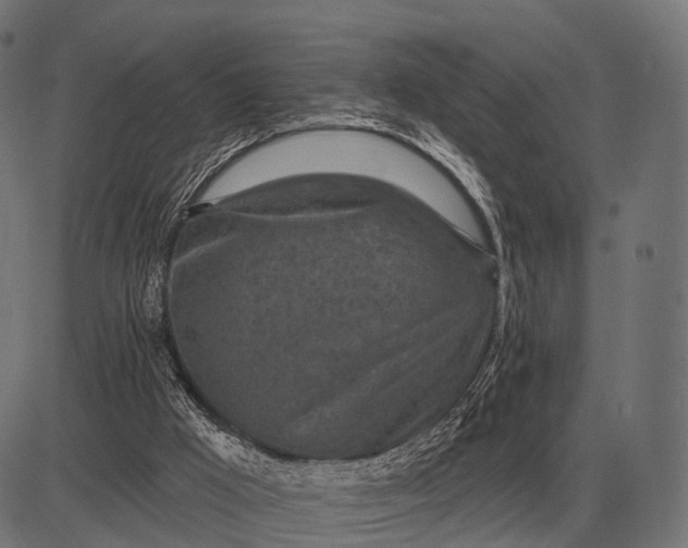 X0000082730009200702091849