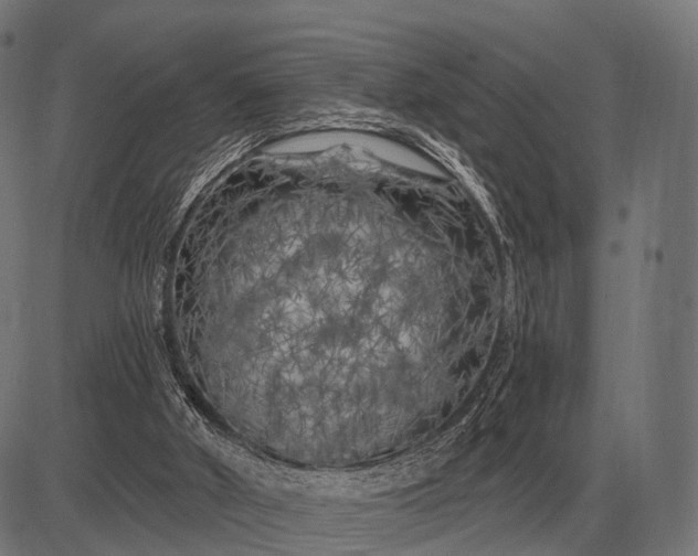 X0000082730010200702091849