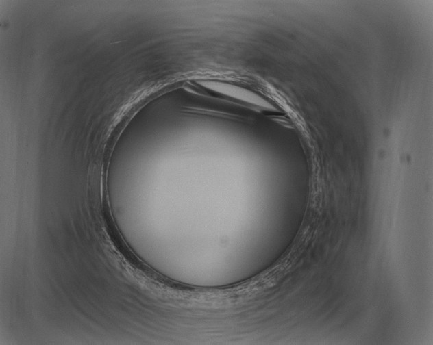 X0000082730011200702091849