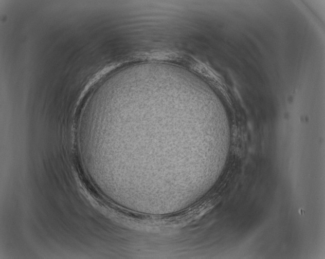 X0000082730012200702091849