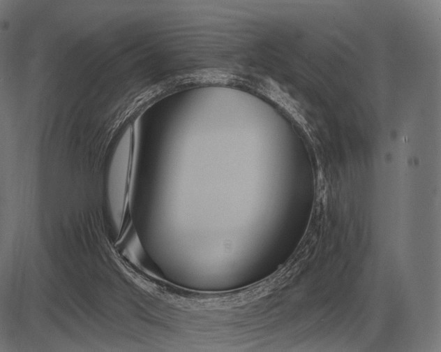 X0000082730013200702091849